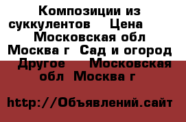 Композиции из суккулентов. › Цена ­ 400 - Московская обл., Москва г. Сад и огород » Другое   . Московская обл.,Москва г.
